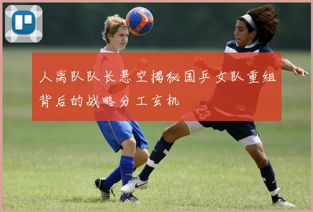 人离队队长悬空揭秘国乒女队重组背后的战略分工玄机