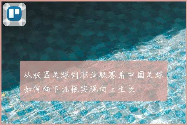 从校园足球到职业联赛看中国足球如何向下扎根实现向上生长