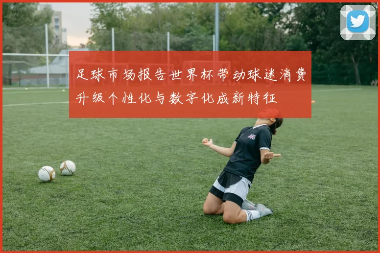 足球市场报告世界杯带动球迷消费升级个性化与数字化成新特征