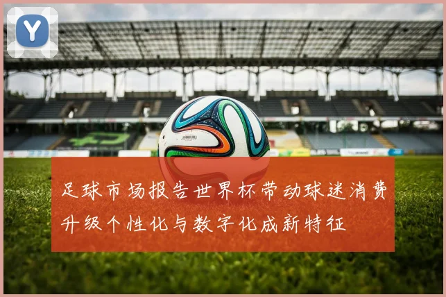 足球市场报告世界杯带动球迷消费升级个性化与数字化成新特征